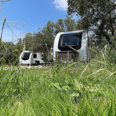 Bademli Caravan Garden Дикили Экстерьер фото