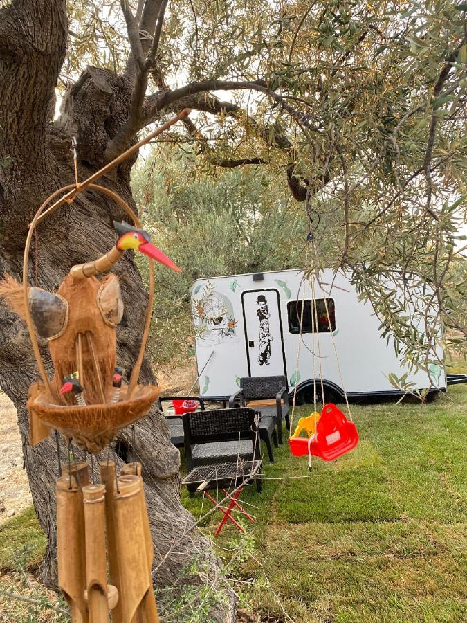 Bademli Caravan Garden Дикили Экстерьер фото